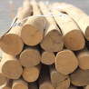Acacia Robinia wooden mast