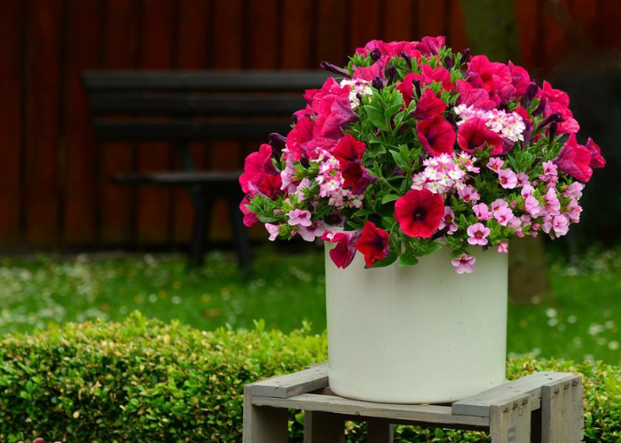 Pot de fleurs dans un jardin