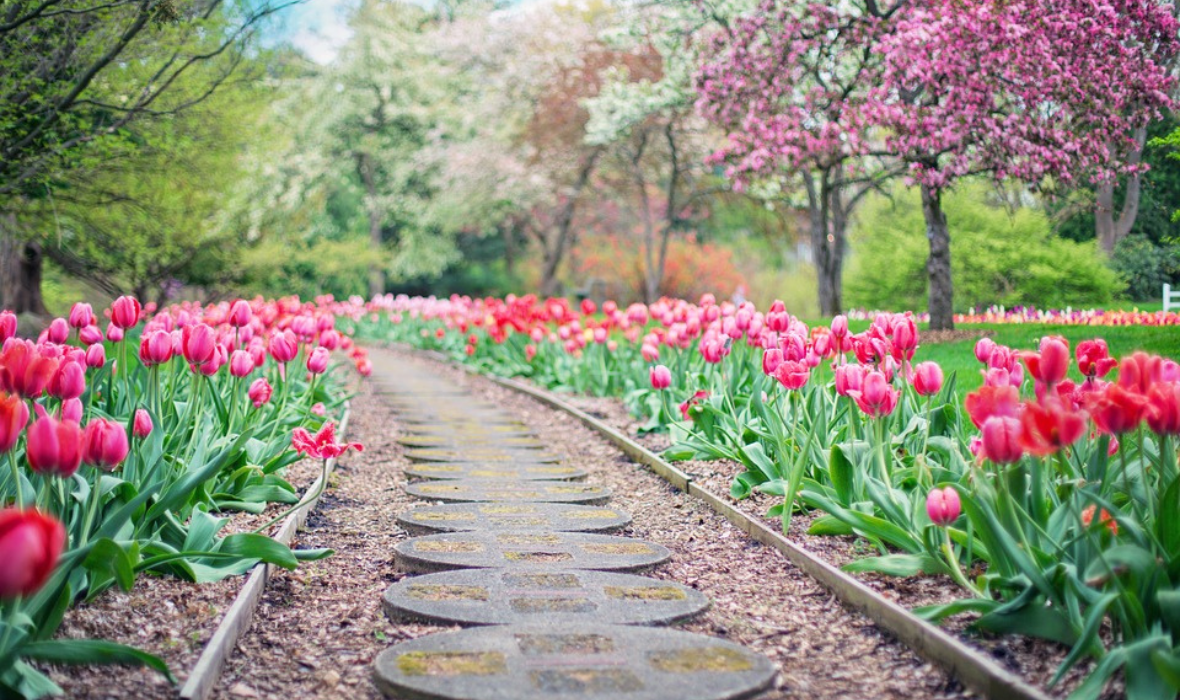 Jardin fleuri et voiles d'ombrage, l'accord parfait