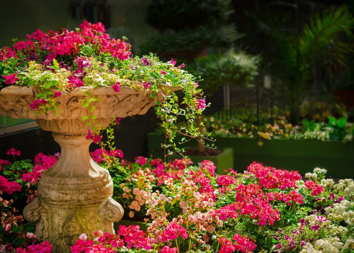 Fleur dans un jardin 