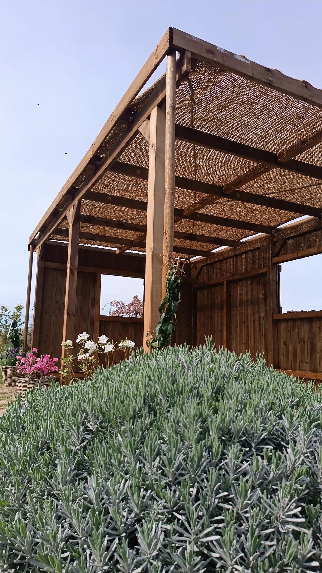 Une toile pergola en fibre de coco dans un jardin