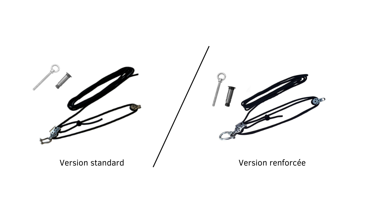 version standard et version renforcée